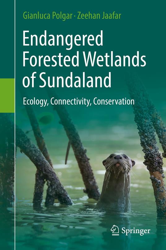 Endangered Forested Wetlands of Sundaland