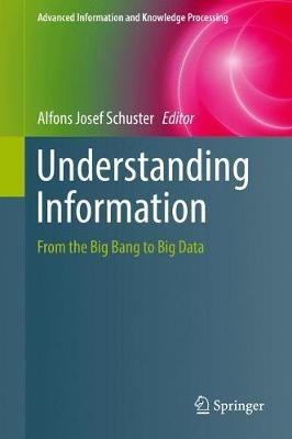 Understanding Information: From the Big Bang to Big Data - cover