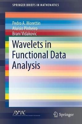 Wavelets in Functional Data Analysis - Pedro A. Morettin,Aluisio Pinheiro,Brani Vidakovic - cover