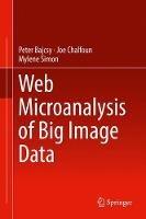 Web Microanalysis of Big Image Data - Peter Bajcsy,Joe Chalfoun,Mylene Simon - cover