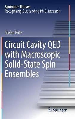 Circuit Cavity QED with Macroscopic Solid-State Spin Ensembles - Stefan Putz - cover
