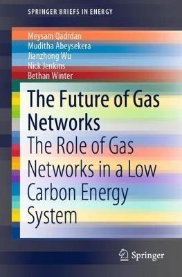 The Future of Gas Networks: The Role of Gas Networks in a Low Carbon Energy System - Meysam Qadrdan,Muditha Abeysekera,Jianzhong Wu - cover