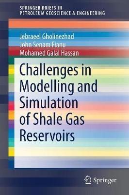 Challenges in Modelling and Simulation of Shale Gas Reservoirs - Jebraeel Gholinezhad,John Senam Fianu,Mohamed Galal Hassan - cover