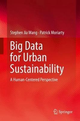 Big Data for Urban Sustainability: A Human-Centered Perspective - Stephen Jia Wang,Patrick Moriarty - cover