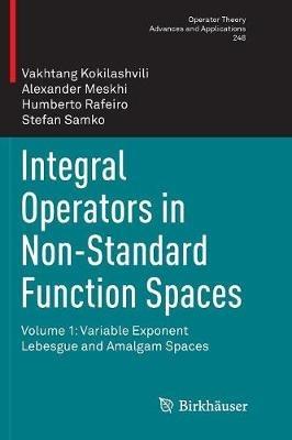 Integral Operators in Non-Standard Function Spaces: Volume 1: Variable Exponent Lebesgue and Amalgam Spaces - Vakhtang Kokilashvili,Alexander Meskhi,Humberto Rafeiro - cover