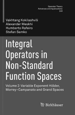 Integral Operators in Non-Standard Function Spaces: Volume 2: Variable Exponent Hölder, Morrey–Campanato and Grand Spaces - Vakhtang Kokilashvili,Alexander Meskhi,Humberto Rafeiro - cover