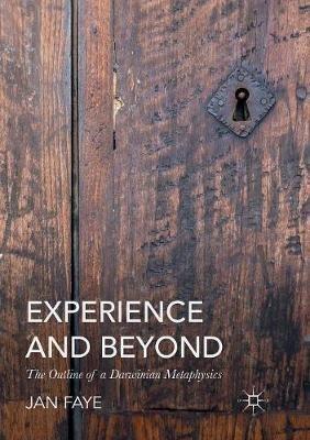 Experience and Beyond: The Outline of A Darwinian Metaphysics - Jan Faye - cover