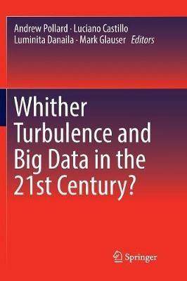 Whither Turbulence and Big Data in the 21st Century? - cover