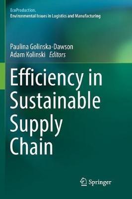 Efficiency in Sustainable Supply Chain - cover