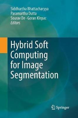 Hybrid Soft Computing for Image Segmentation - cover