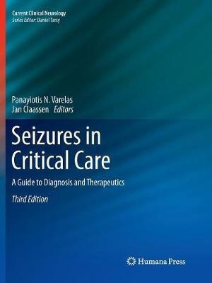 Seizures in Critical Care: A Guide to Diagnosis and Therapeutics - cover