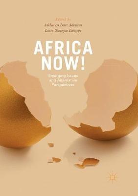 Africa Now!: Emerging Issues and Alternative Perspectives - cover