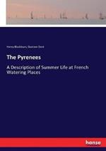 The Pyrenees: A Description of Summer Life at French Watering Places