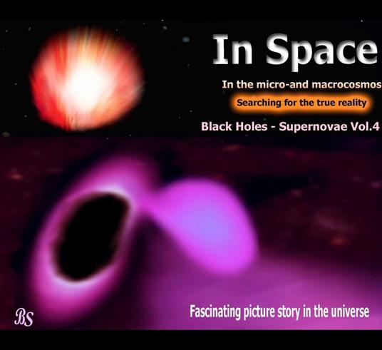Black holes - Supernovae - Barbara Stein - ebook