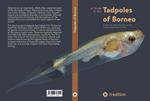 A Guide to the Tadpoles of Borneo