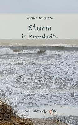 Sturm in Moordevitz: Ein Krimi zum großen Sturmhochwasser an der Ostsee 1872 - Wiebke Salzmann - cover