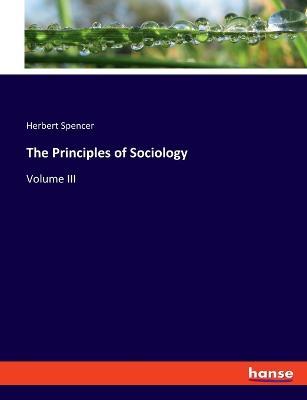 The Principles of Sociology: Volume III - Herbert Spencer - cover