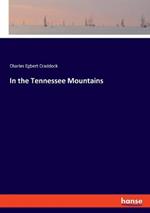 In the Tennessee Mountains