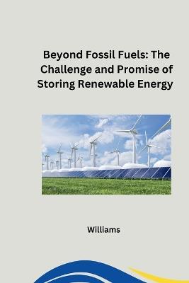 Beyond Fossil Fuels: The Challenge and Promise of Storing Renewable Energy - Williams - cover
