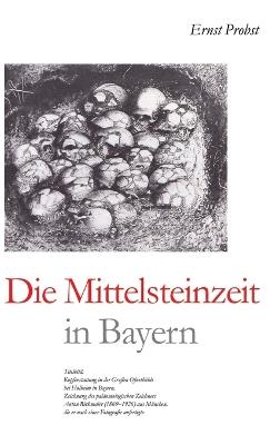 Die Mittelsteinzeit in Bayern - Ernst Probst - cover