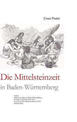 Die Mittelsteinzeit in Baden-Württemberg - Ernst Probst - cover