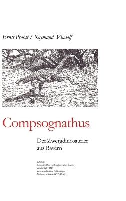 Compsognathus: Der Zwergdinosaurier aus Bayern - Ernst Probst,Raymund Windolf - cover