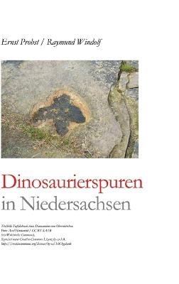 Dinosaurierspuren in Niedersachsen - Ernst Probst,Raymund Windolf - cover