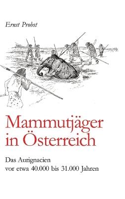 Mammutjäger in Österreich: Das Aurignacien vor etwa 40.000 bis 31.000 Jahren - Ernst Probst - cover