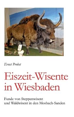 Eiszeit-Wisente in Wiesbaden: Funde von Steppenwisent und Waldwisent in den Mosbach-Sanden - Ernst Probst - cover