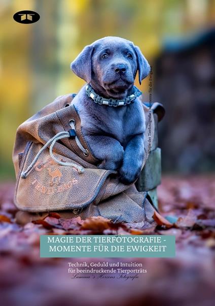 Magie der Tierfotografie - Momente für die Ewigkeit