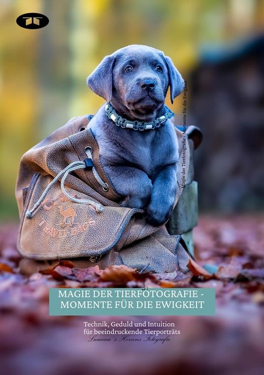 Magie der Tierfotografie - Momente für die Ewigkeit