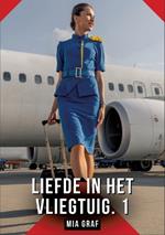 Liefde in het vliegtuig. 1: Verboden erotische verhalen met expliciete seks voor volwassenen