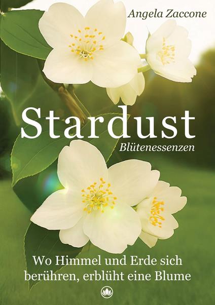 Stardust