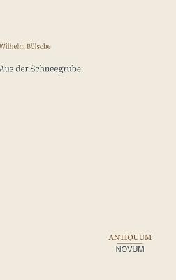 Aus der Schneegrube - Wilhelm Bölsche - cover