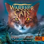 Warrior Cats - Vision von Schatten. Wütender Sturm