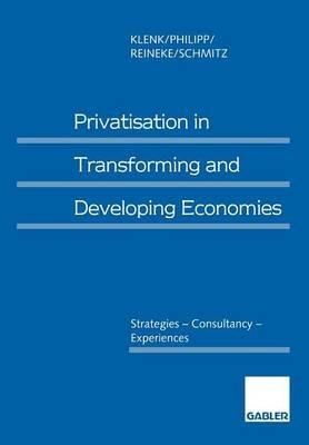 Privatisation in Transforming and Developing Economies: Strategies — Consultancy — Experiences - Jürgen Klenk,Christine Philipp,Rolf-Dieter Reineke - cover