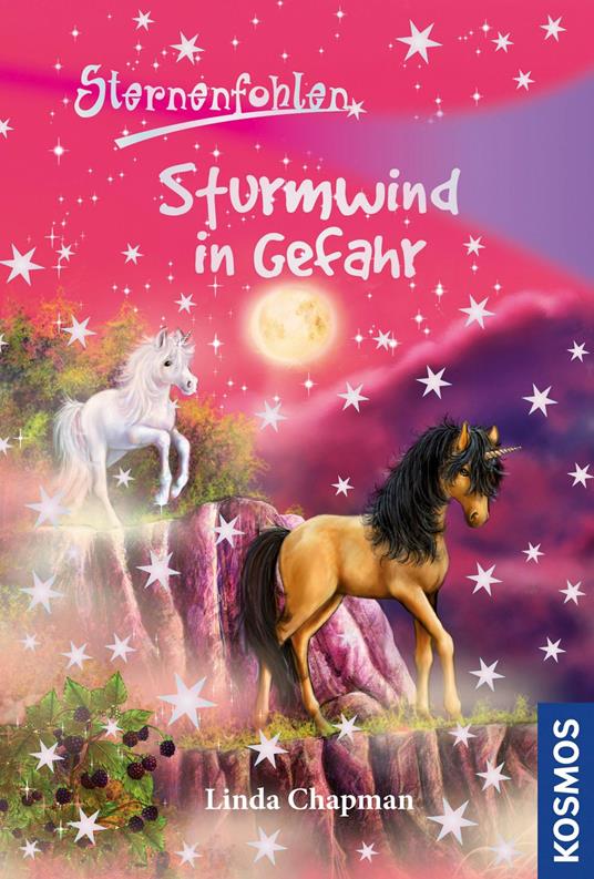 Sternenfohlen, 15, Sturmwind in Gefahr - Linda Chapman - ebook