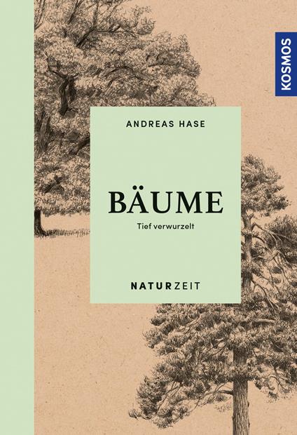 Naturzeit Bäume