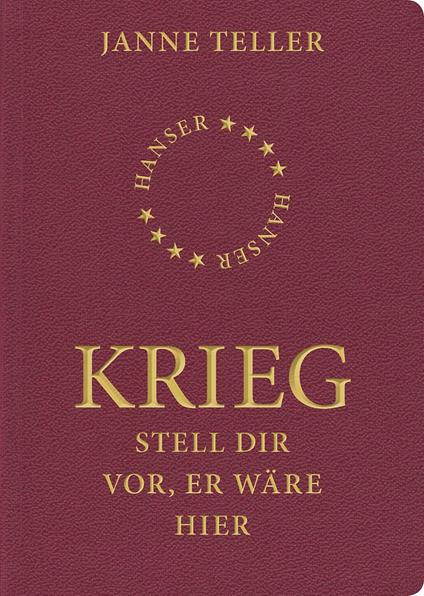 Krieg - Janne Teller,Helle Vibeke Jensen,Sigrid Engeler - ebook