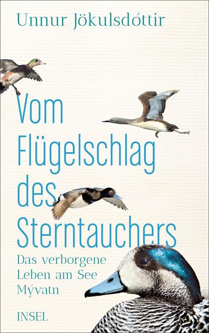 Vom Flügelschlag des Sterntauchers