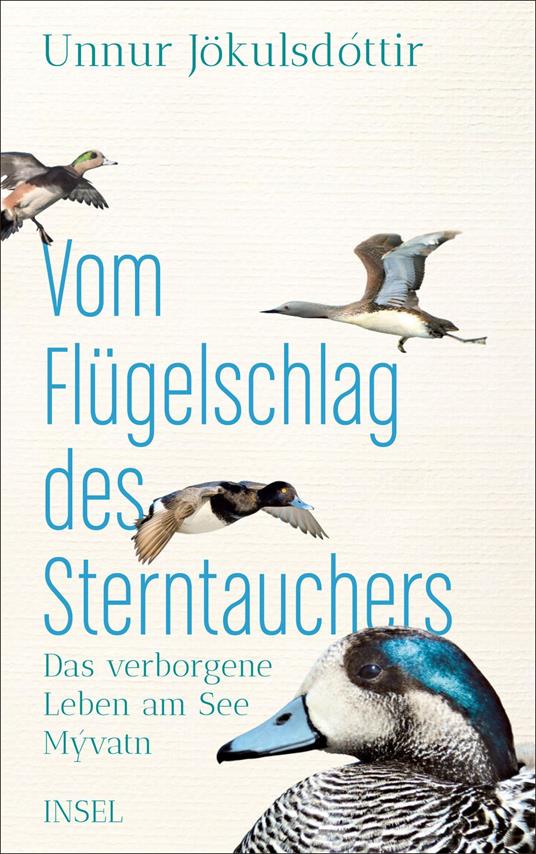 Vom Flügelschlag des Sterntauchers