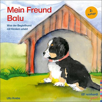 Mein Freund Balu - Uta Krebs - ebook