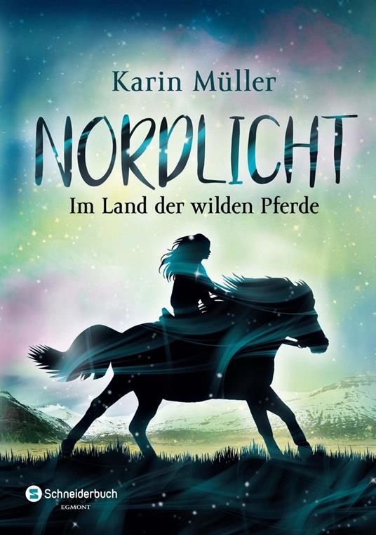 Nordlicht, Band 01 - Karin Müller - ebook
