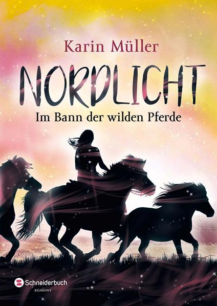 Nordlicht, Band 02 - Karin Müller - ebook