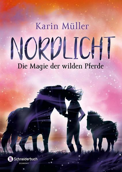 Nordlicht, Band 03 - Karin Müller - ebook