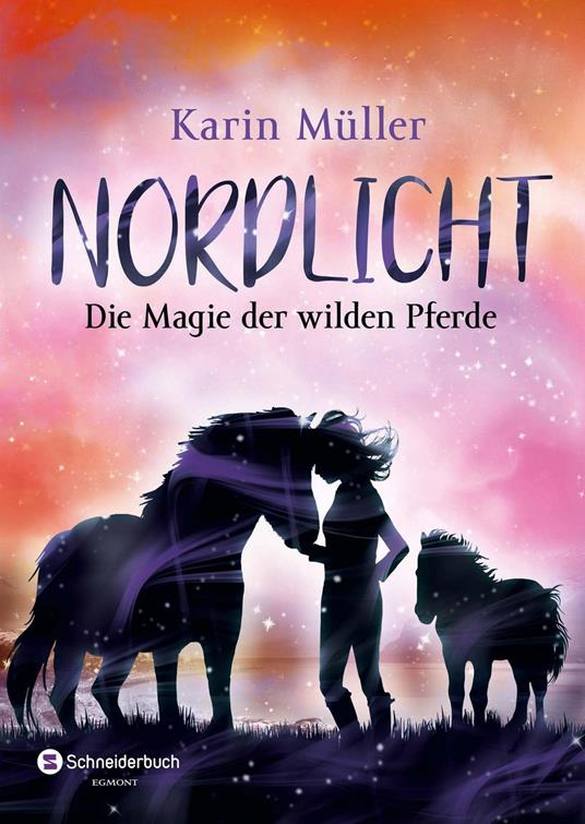 Nordlicht, Band 03 - Karin Müller - ebook