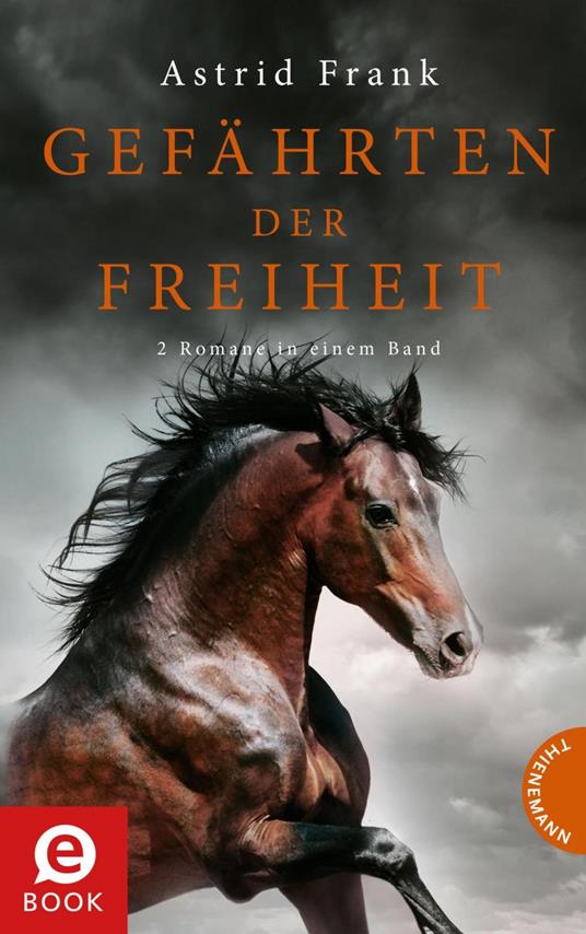Gefährten der Freiheit - Frank Astrid,bürosüd° GmbH - ebook