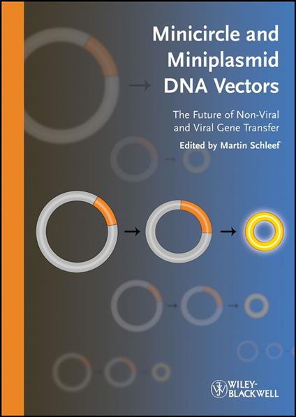 Minicircle and Miniplasmid DNA Vectors