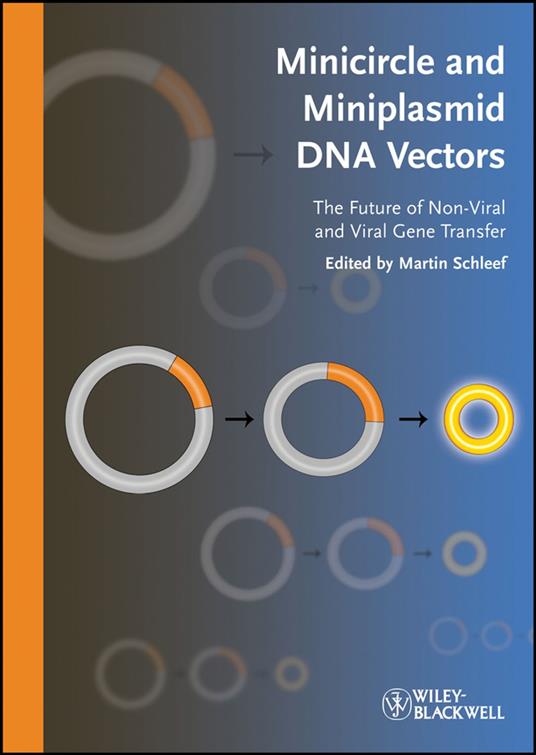 Minicircle and Miniplasmid DNA Vectors