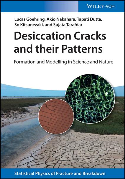 Desiccation Cracks and their Patterns